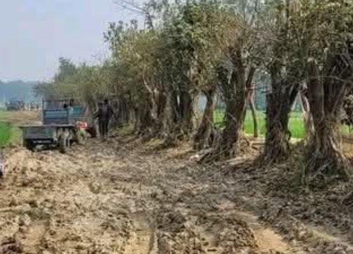 পিচ নয় কাদা মাড়িয়েই কাটে জীবন: দিরাই-জগদল সড়ক কি অভিশাপ