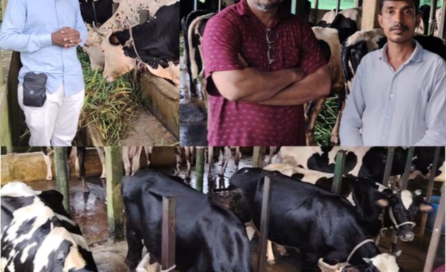 দুই গাভী থেকে ৩২টি: সুরমা ডেইরি ফার্মে সফলতার গল্প গড়েছেন উদ্যোক্তা আনোয়ার হোসেন ময়না