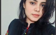 ফাঁদে ফেলে বিমান কর্মকর্তাদের জিম্মি করে মৌসুমী