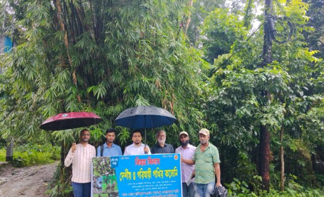 দশমিনায় ‘বিহঙ্গ বিলাস’ নামে জেলার দ্বিতীয় পাখির কলোনি ঘোষণা